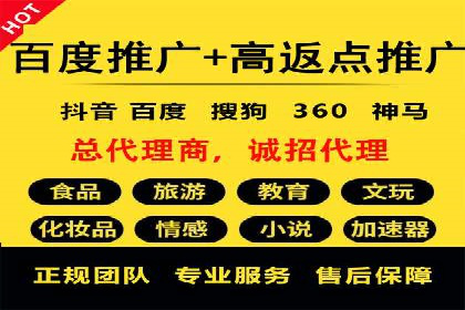 电商平台信息流广告的创意与执行案例分析